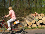 Free pictures series of nude Evi C. ...!