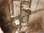 Free pictures series of nude Evi C. ...!