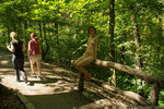 Free pictures series of nude Sasha A. ...!